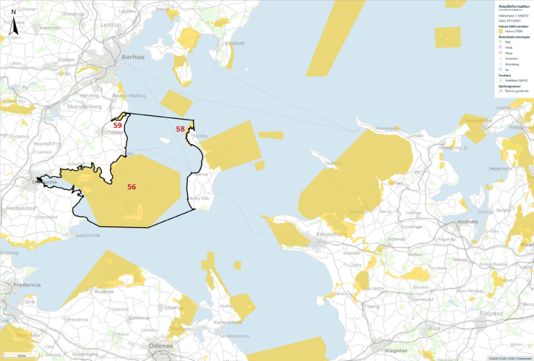 Natura 2000 områderne 56, 58 og 59 er en del af Svanegrundsområdet. Svanegrundsområdet er markeret med sort kontur.